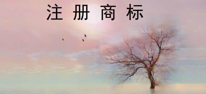 商標還沒注冊成功可以使用商標嗎？